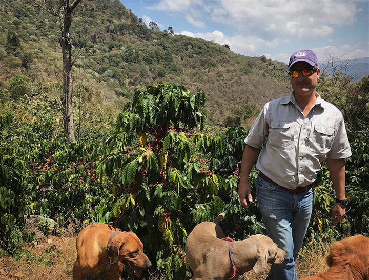 Guatemala | Juan Diego de la Cerda, Finca El Socorro y Anexos