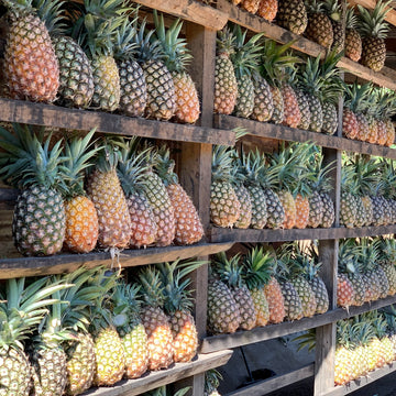 Pineapple Process