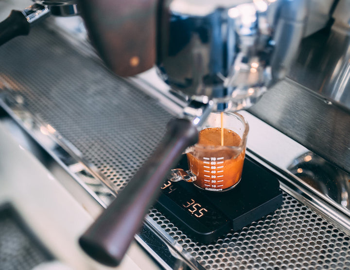 Which PT's Espresso Is Right For You?