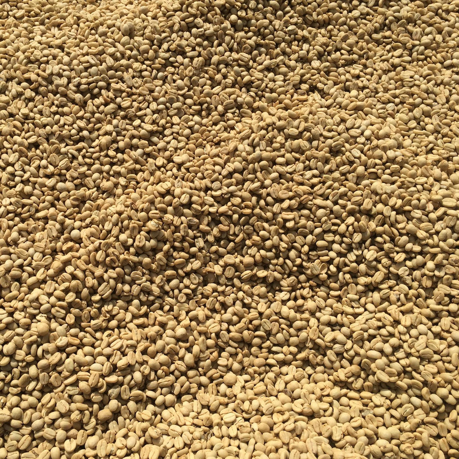 Ethiopia Organic Bundle