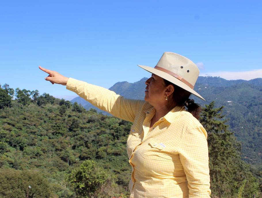 Ana Ortega Piedra Partida Washed