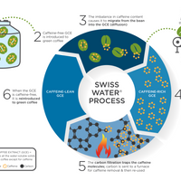 Swiss Water Process <b>Decaf</b>