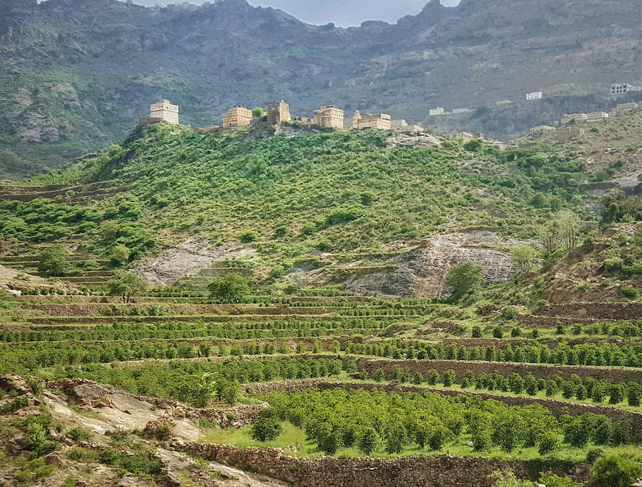 Haraaz Red / Mahal Aqeeq ul Station Natural