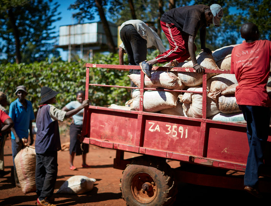 Kiandu AA Washed